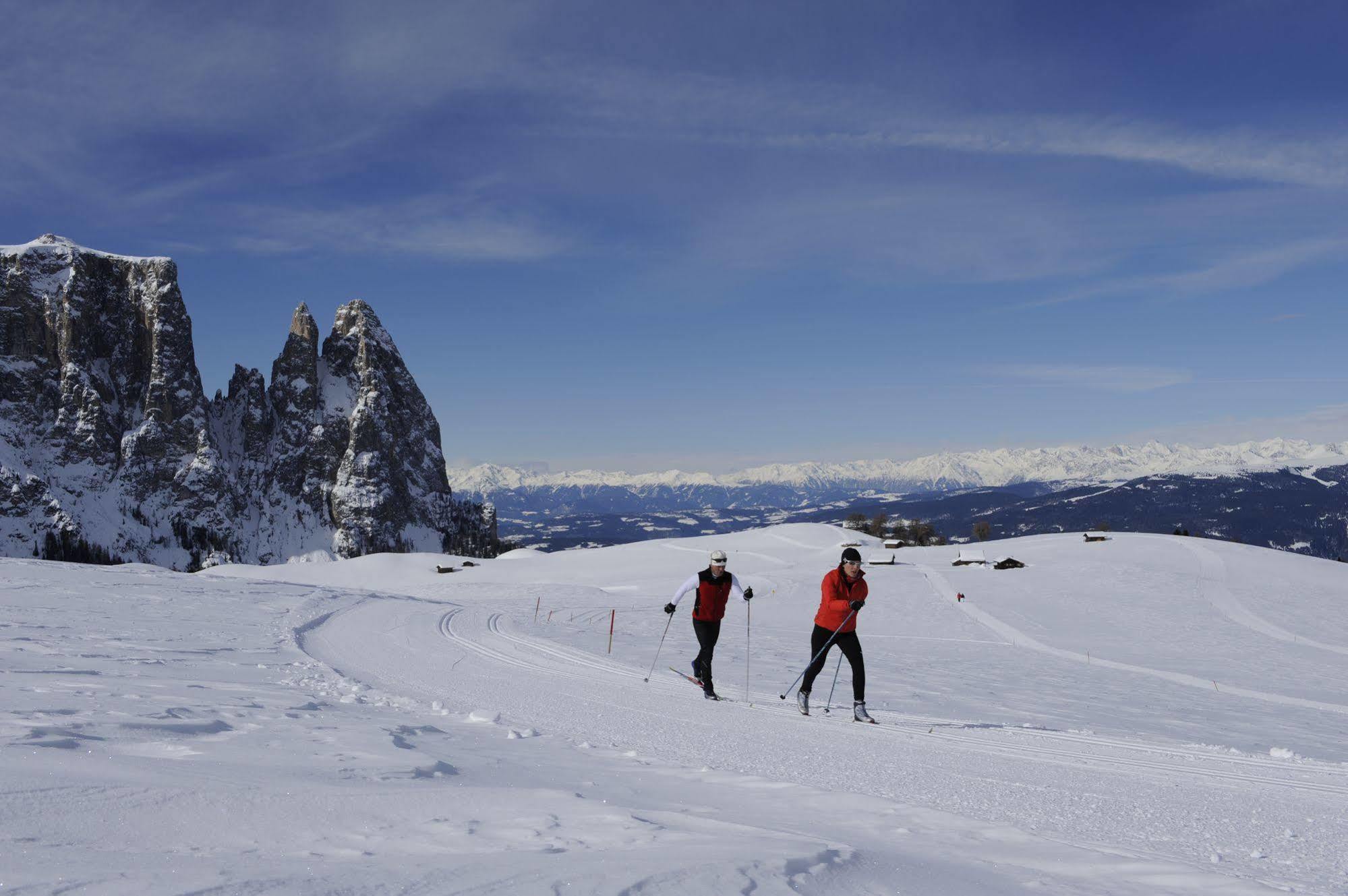 La Paula Apartments & Suites Alpe di Alpe di Siusi Extérieur photo